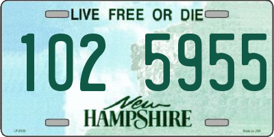 NH license plate 1025955
