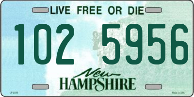 NH license plate 1025956