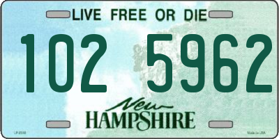 NH license plate 1025962