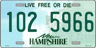 NH license plate 1025966