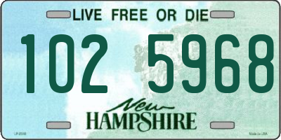 NH license plate 1025968