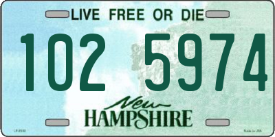 NH license plate 1025974