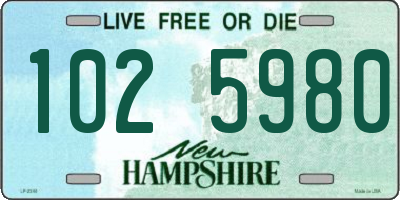 NH license plate 1025980