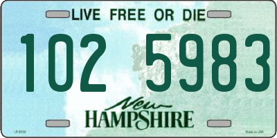 NH license plate 1025983
