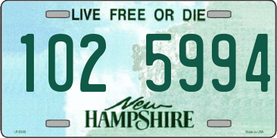 NH license plate 1025994