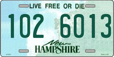 NH license plate 1026013