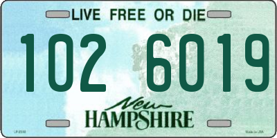 NH license plate 1026019