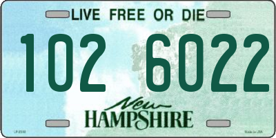 NH license plate 1026022