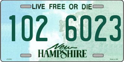NH license plate 1026023