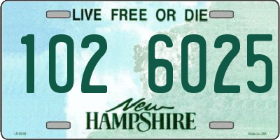 NH license plate 1026025