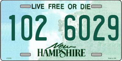 NH license plate 1026029