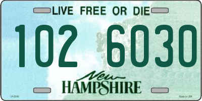NH license plate 1026030