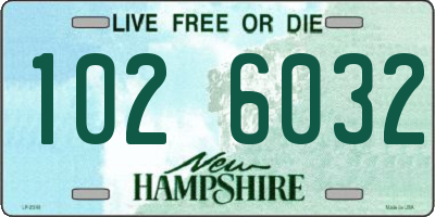 NH license plate 1026032