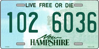NH license plate 1026036
