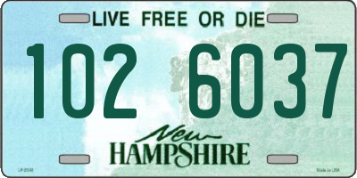 NH license plate 1026037