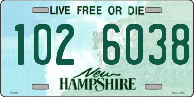 NH license plate 1026038
