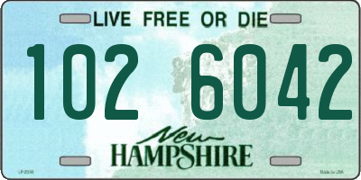 NH license plate 1026042