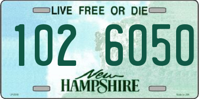NH license plate 1026050