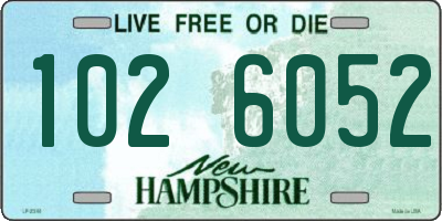 NH license plate 1026052