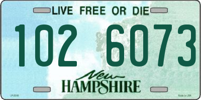 NH license plate 1026073
