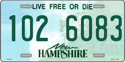 NH license plate 1026083