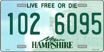 NH license plate 1026095