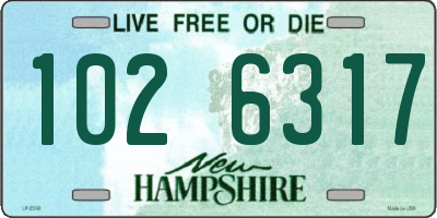 NH license plate 1026317