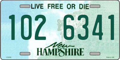 NH license plate 1026341