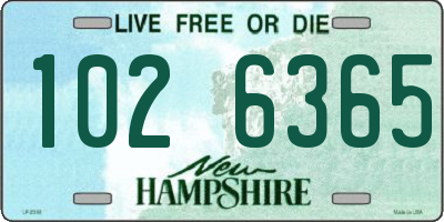 NH license plate 1026365