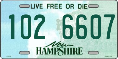 NH license plate 1026607