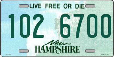 NH license plate 1026700