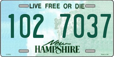 NH license plate 1027037
