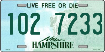NH license plate 1027233