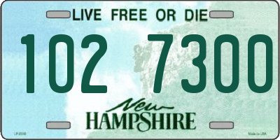 NH license plate 1027300