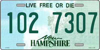 NH license plate 1027307