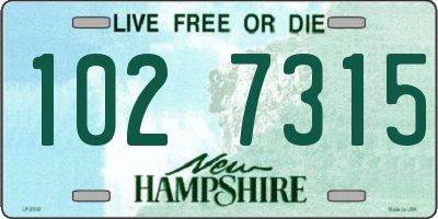 NH license plate 1027315