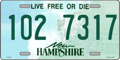 NH license plate 1027317