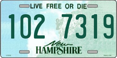NH license plate 1027319