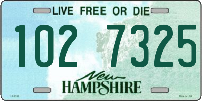 NH license plate 1027325