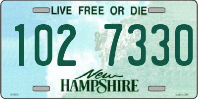 NH license plate 1027330
