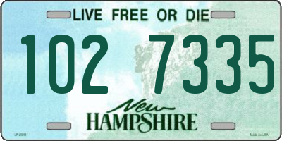 NH license plate 1027335