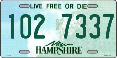 NH license plate 1027337