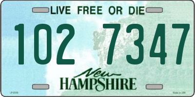 NH license plate 1027347
