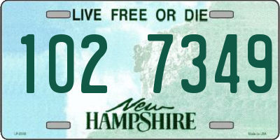 NH license plate 1027349