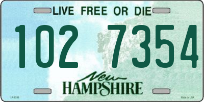 NH license plate 1027354