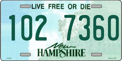 NH license plate 1027360