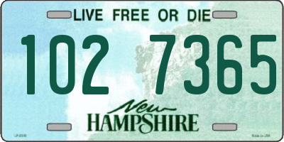 NH license plate 1027365