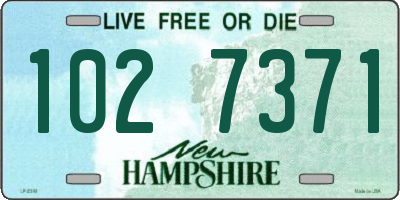 NH license plate 1027371