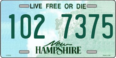 NH license plate 1027375