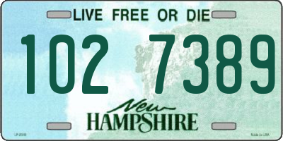 NH license plate 1027389
